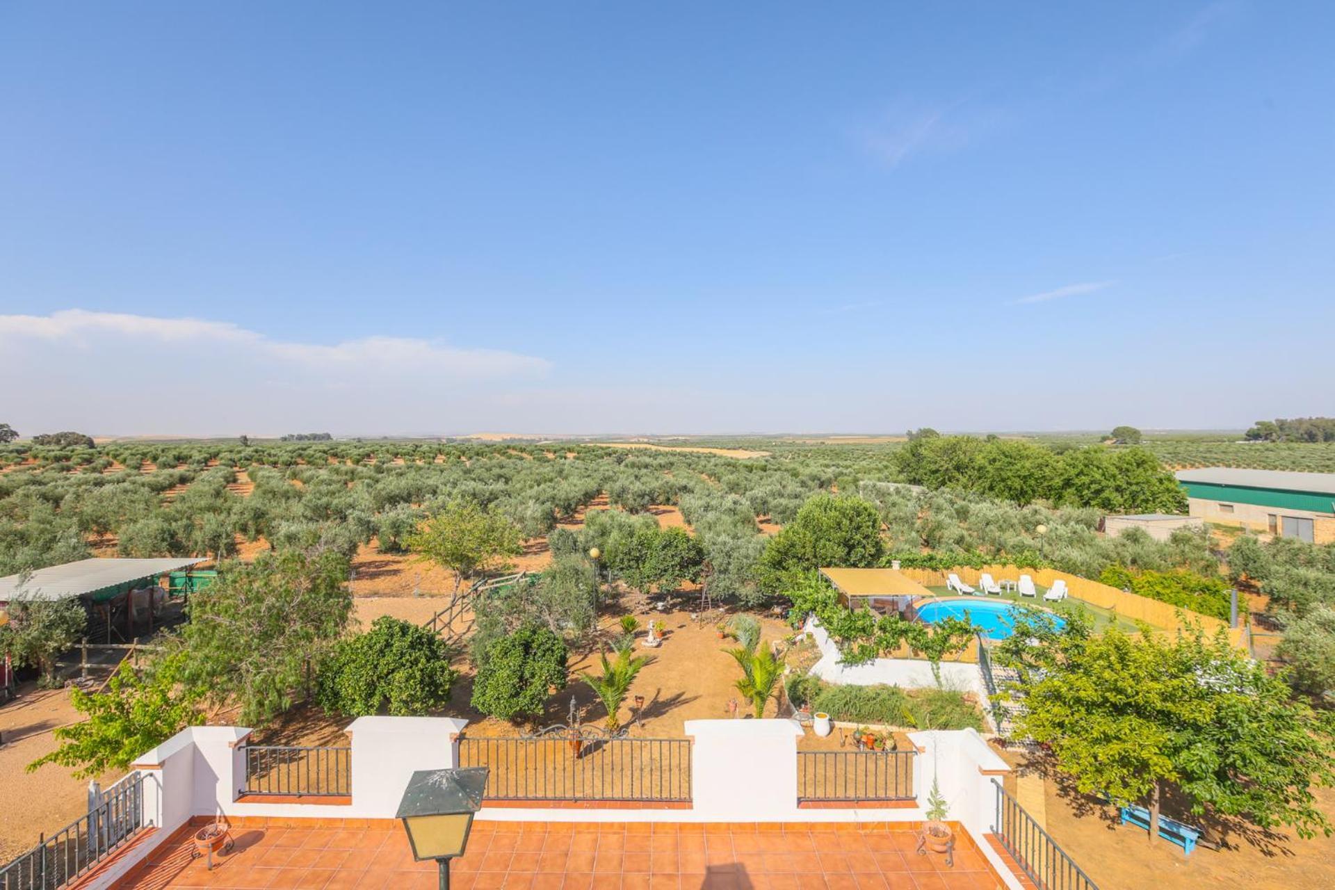 Casa Rural Los Miradores Marchena  Buitenkant foto