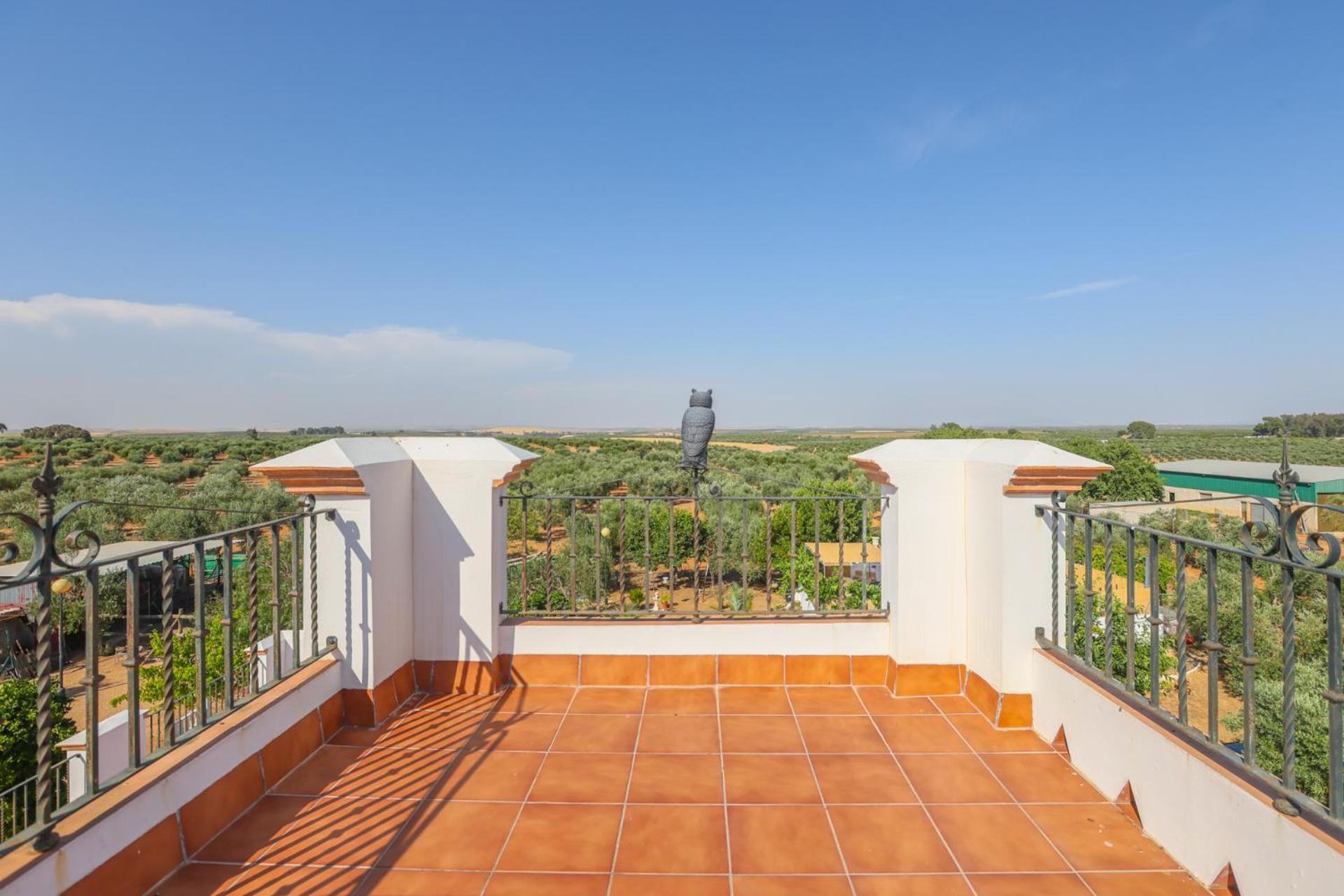 Casa Rural Los Miradores Marchena  Buitenkant foto