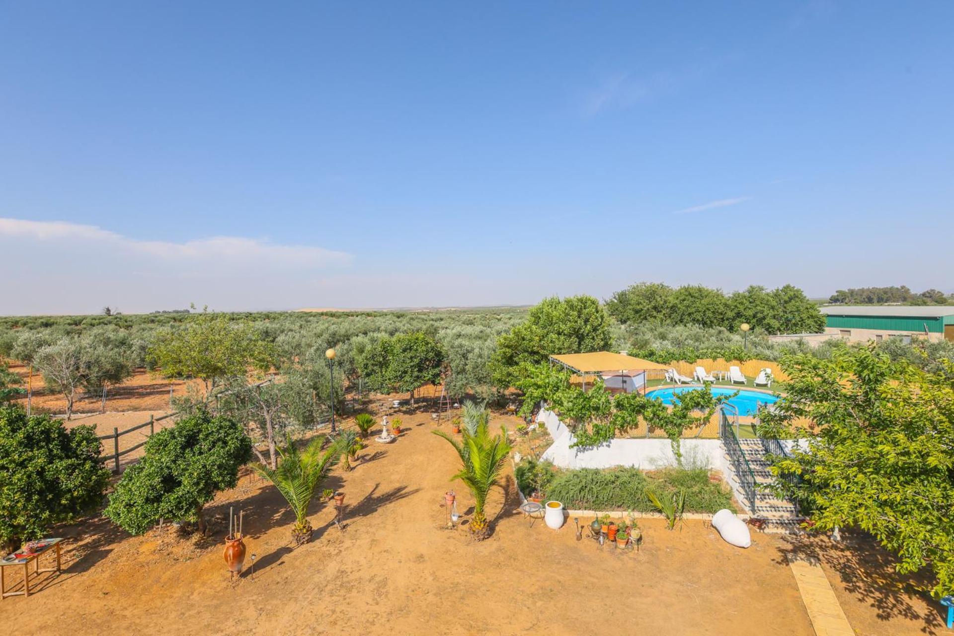 Casa Rural Los Miradores Marchena  Buitenkant foto