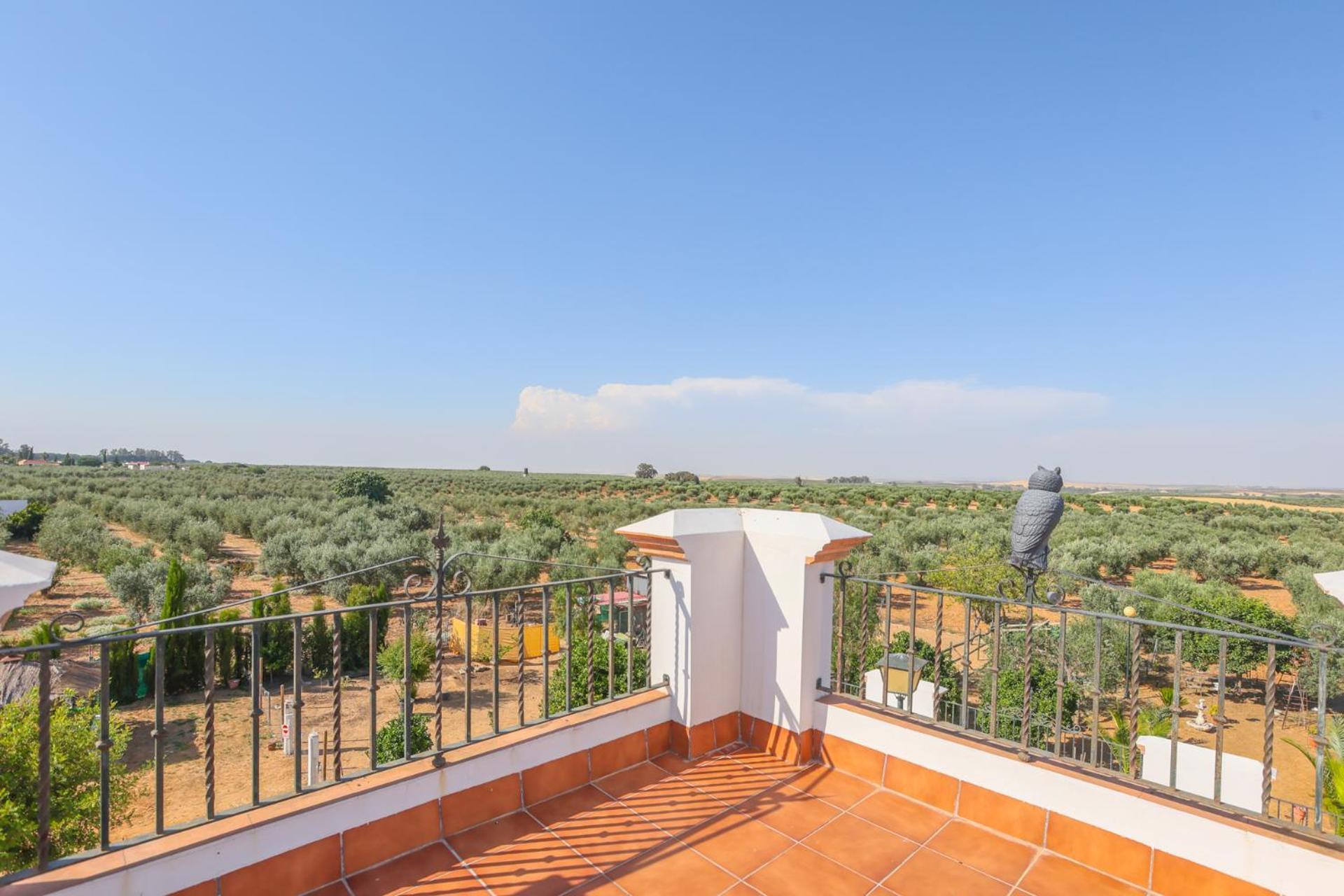 Casa Rural Los Miradores Marchena  Buitenkant foto
