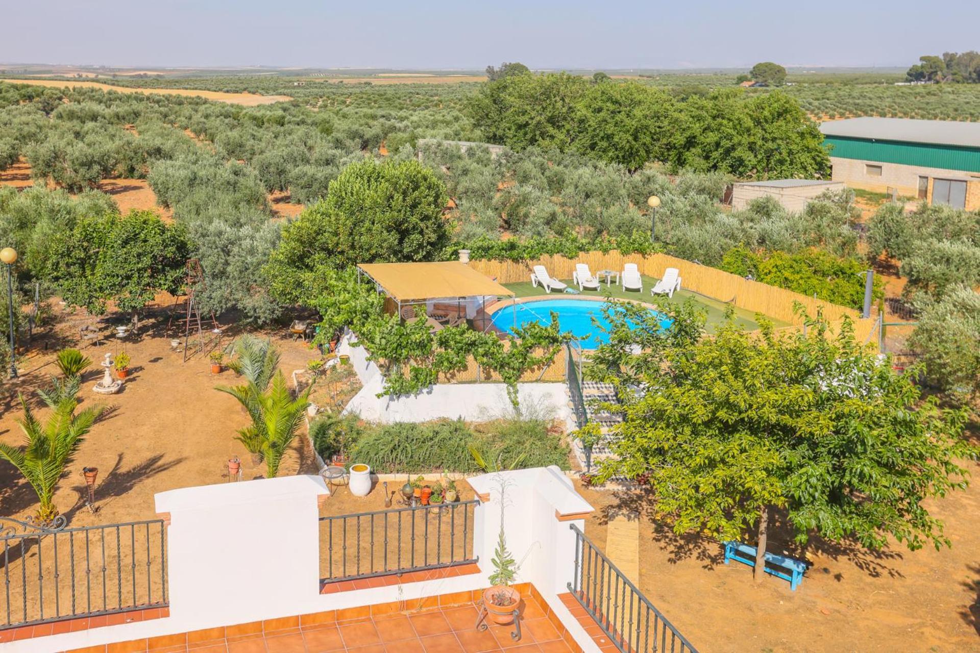 Casa Rural Los Miradores Marchena  Buitenkant foto